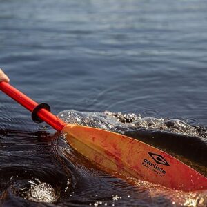 Carlisle Magic Mystic Kayak Paddle