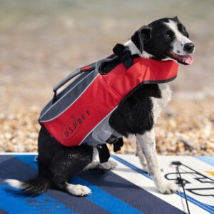 Dog Buoyancy Aid - Osprey