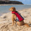 Dog Buoyancy Aid - Osprey - Image 6