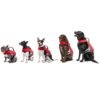 Dog Buoyancy Aid - Osprey - Image 3